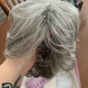Paula Young Silver Gray Women's Wig